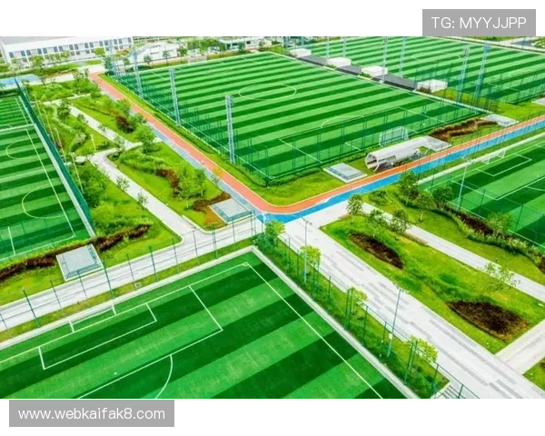 凯发体育平台开户的优势与特色分析助你选择最适合的线上体育平台