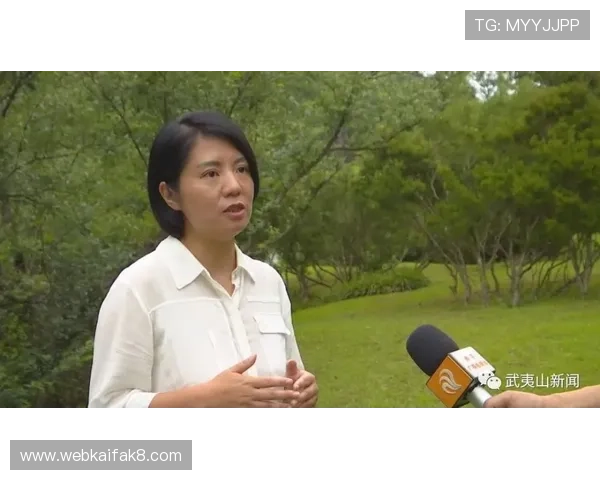 凯发CQ9老虎机新手入门指南，详细介绍游戏规则与最佳玩法技巧助你快速上手