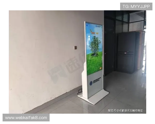 凯发国际入口多渠道登录方式详细介绍满足不同用户需求