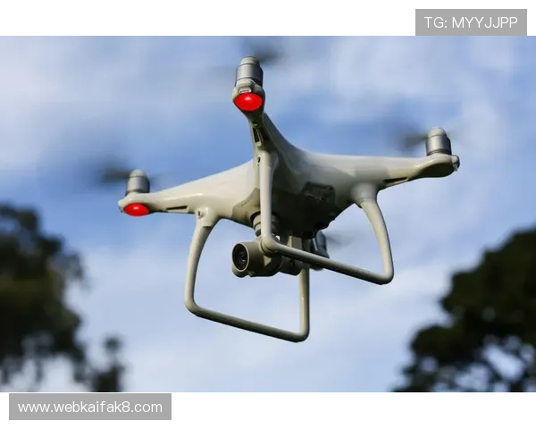 凯发直播中文站安全保障措施详解确保用户账号信息安全与隐私保护方案