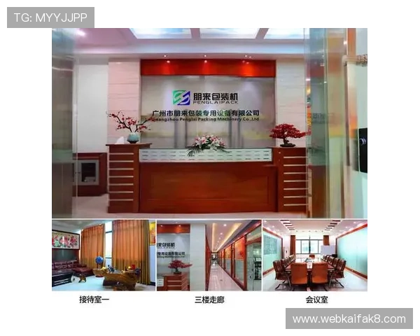 K8凯发平台网页版的客户服务与技术支持体系全方位介绍